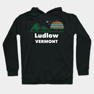 Mountain Sunset Flying Birds Outdoor Ludlow Vermont Hoodie